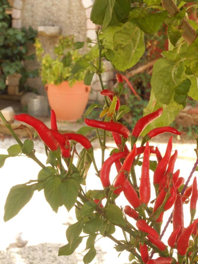 Secret Garden 76 Sq.M. Apartment Close To City Center Янина Екстериор снимка